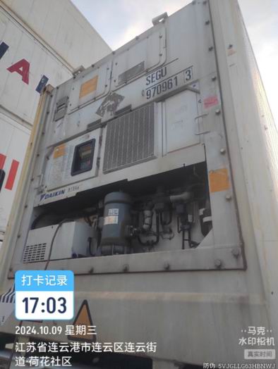 进出口冷藏危险品拖车